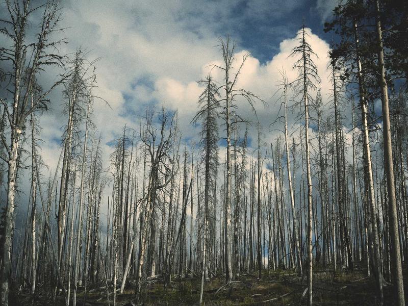 苹果ID换区全套<br>切换/跳过/刷新一站式解决